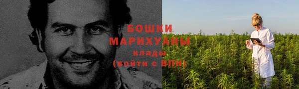 соль ск Волосово