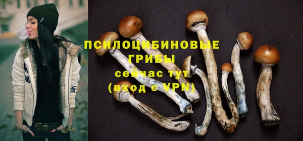 ECSTASY Верея