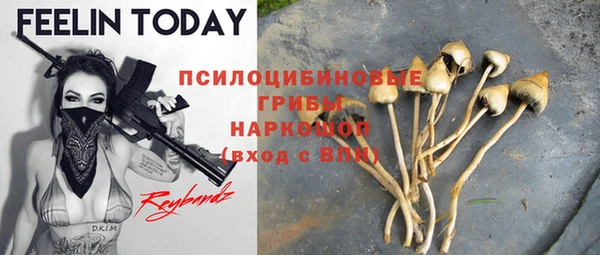 apvp Бородино