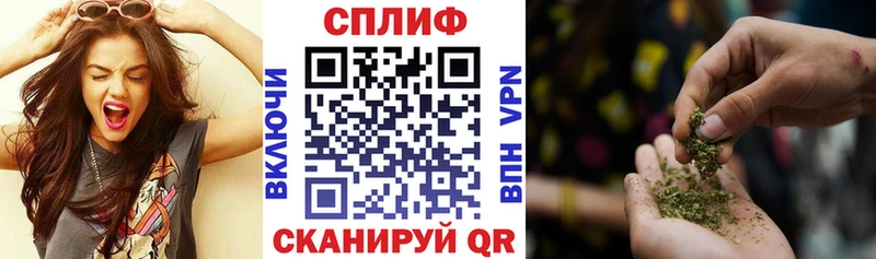 Купить закладки  Новодвинск  Марихуана семена 